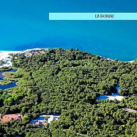 Il Poeta Sul Mare Ancona